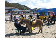 Traeth Bermo